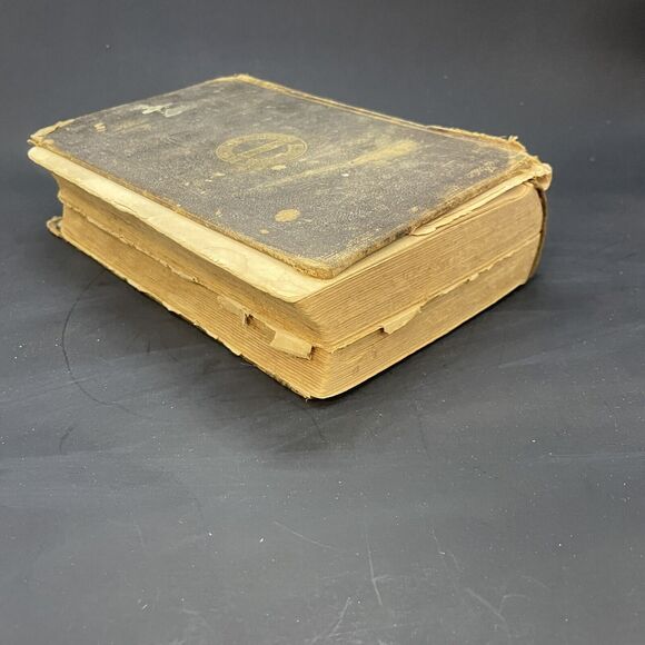 Plain Home Talk Medical Common Sense, OLD, Illustrated HB - Picture 5 of 12